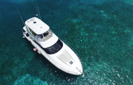 Motor yacht Sea Ray 58'