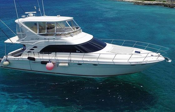Motor yacht Sea Ray 58'