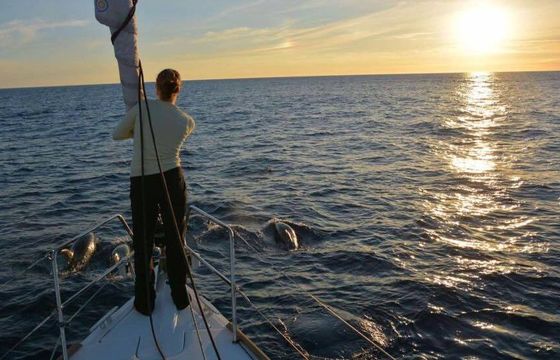 Sailboat Jeanneau Sun Odyssey 379 11.73m