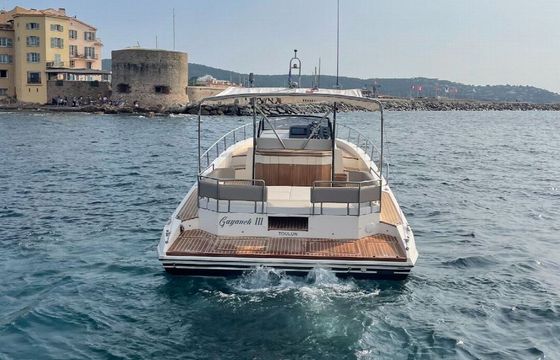 Motorboat FIART MARE FIART 33 520hp