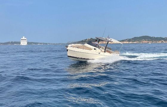 Motorboat FIART MARE FIART 33 520hp
