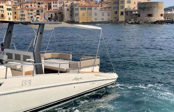 Motorboat FIART MARE FIART 33 520hp