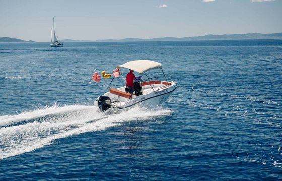 Boat without licence Nireus 495