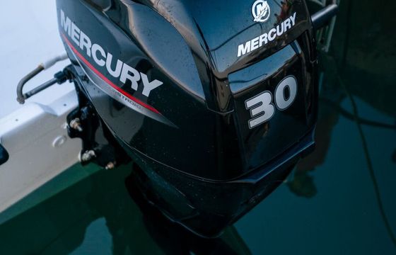 Boat without licence Nireus 495