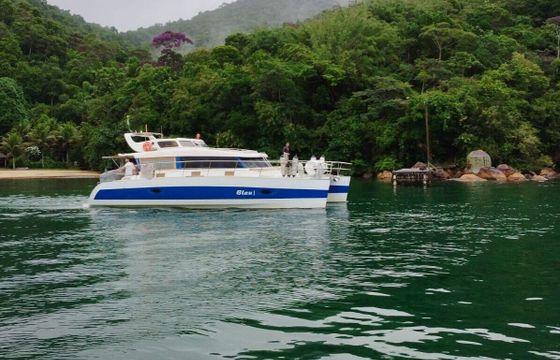 Motorboat Blujoi Power Cat 40 Angra 400hp