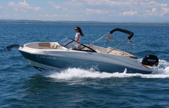 Motorboat Bayliner VR5 150hp