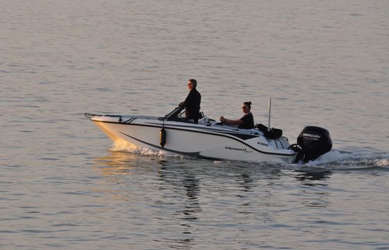 Motorboat Bayliner Element M17 115hp