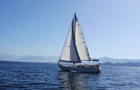 Sailboat CONYPLEX CONTEST 29 9m