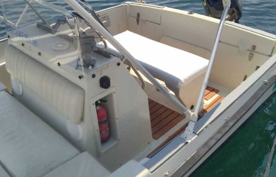 Boat without licence Open Elan 495 Gt 40hp