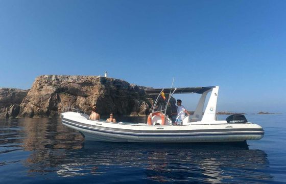 Motorboat Astec Dayceuiser 800 200hp