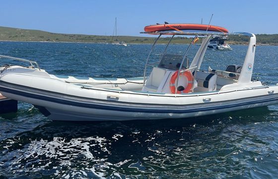 Motorboat Astec Dayceuiser 800 200hp