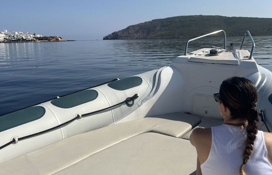 Motorboat Astec Dayceuiser 800 200hp