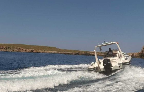 Motorboat Astec Dayceuiser 800 200hp