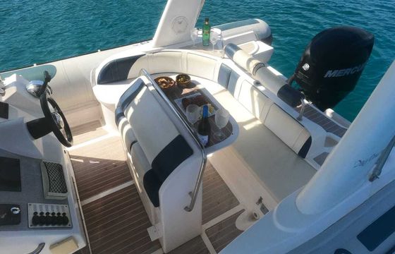 Motorboat Astec Dayceuiser 800 200hp