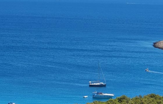 Sailboat Elan Elan 37 performance 11.33m
