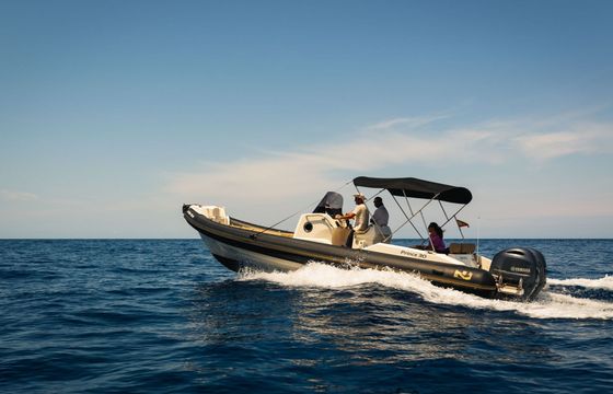 RIB Nuova Jolly Prince 30 500hp