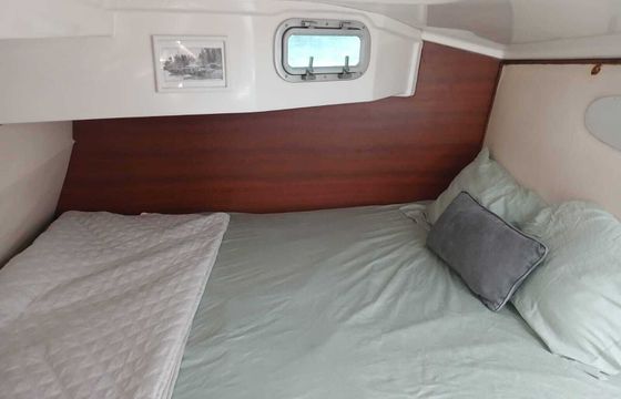 Sailboat Dolphin Dolphin 46 14.02m