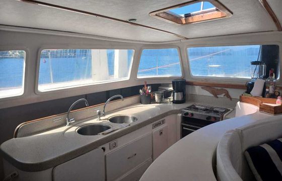 Sailboat Dolphin Dolphin 46 14.02m