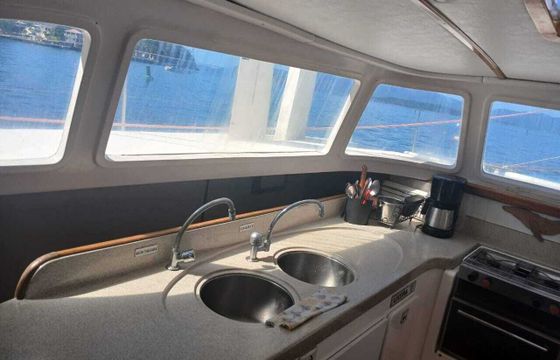 Sailboat Dolphin Dolphin 46 14.02m