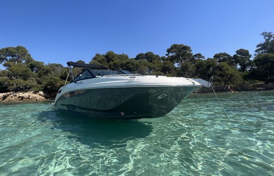 Motorboat Sea Ray 250 SDX 250hp