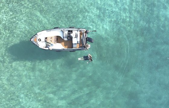 Boat without licence  Isatek "Erebos" / Cobra 495 40hp