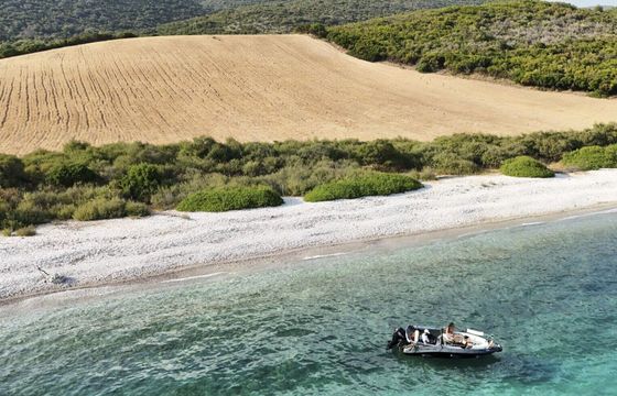 Boat without licence  Isatek "Erebos" / Cobra 495 40hp