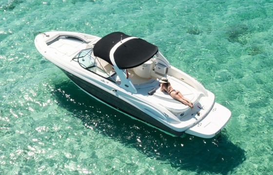 Motorboat Sea Ray 295 560hp