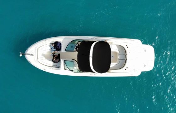 Motorboat Sea Ray 295 560hp
