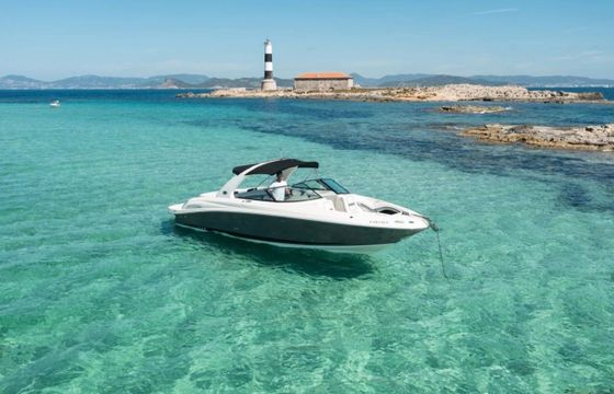 Motorboat Sea Ray 295 560hp