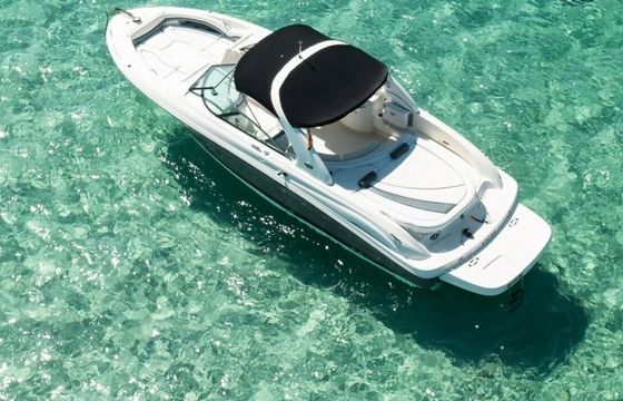 Motorboat Sea Ray 295 560hp