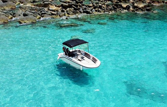 Boat without licence  Bayliner Element M15 15hp