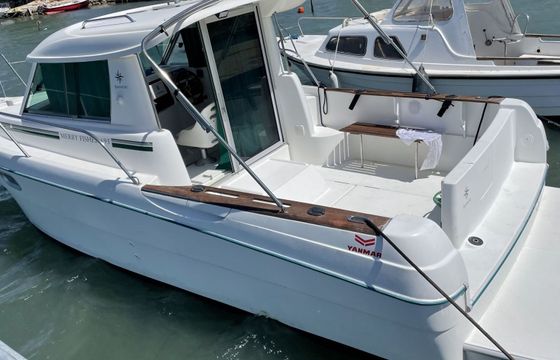 Motorboat Jeanneau Merry Fisher 695 160hp