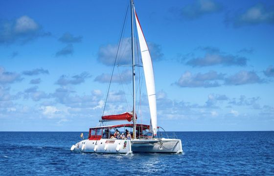 Catamaran Ocean Voyager Maxicat 53 15.5m