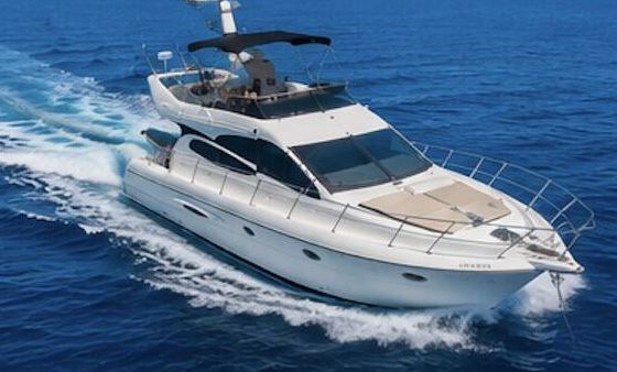 Motorboat Neptune 41 Sport