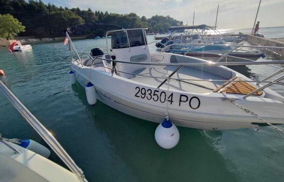 Motorboat Blueline 21 21 150hp
