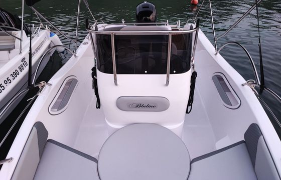 Motorboat Blueline 21 21 150hp