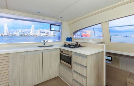 Catamaran Leopard 43 13.1m