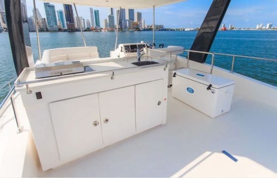 Catamaran Leopard 43 13.1m
