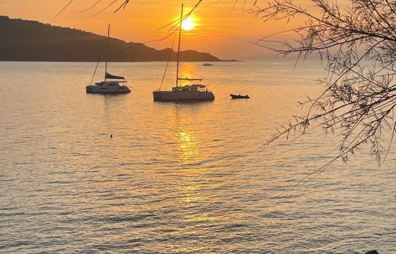 Catamaran Robertson &amp; Caine Leopard 40 12m
