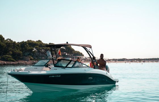 Motorboat Sea Ray 210 SPX OB 200hp