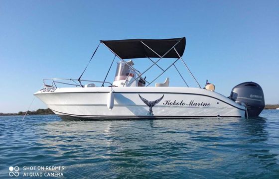 Motorboat Inmark Fisher 20 150hp