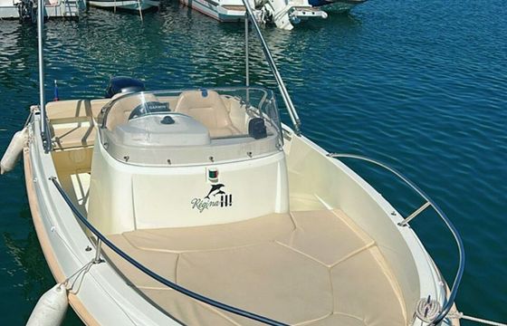 Motorboat Jeanneau Cap Camarat 555 Style 100hp