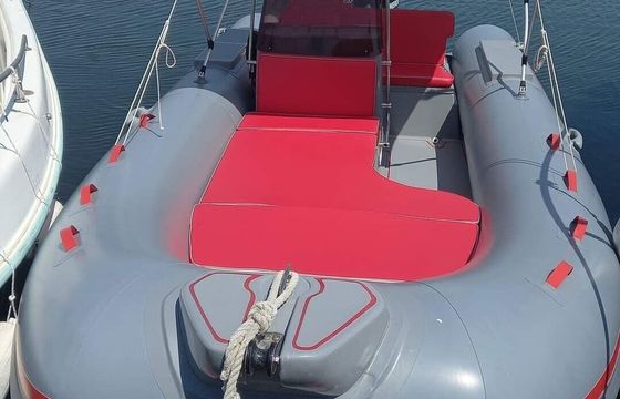 Boat without licence  Selva Marine 550