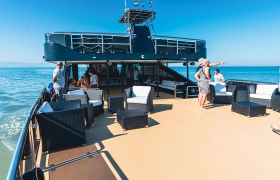 Catamaran custom Custom 30.48m