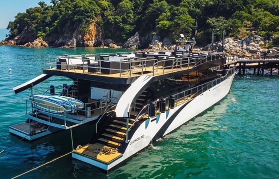 Catamaran custom Custom 30.48m