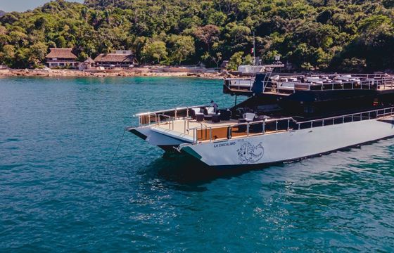 Catamaran custom Custom 30.48m