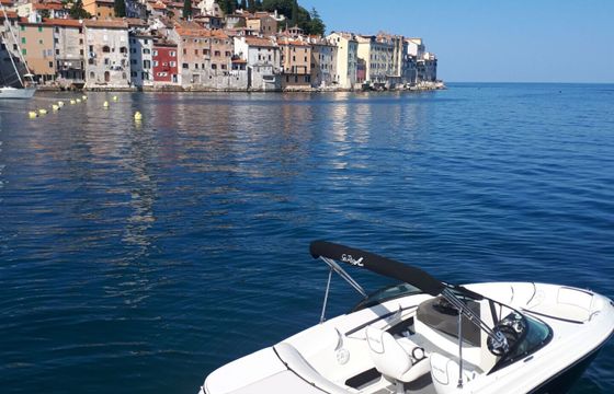 Motorboat SEA RAY 190 SPORT 220hp