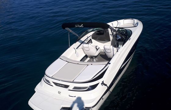 Motorboat SEA RAY 190 SPORT 220hp