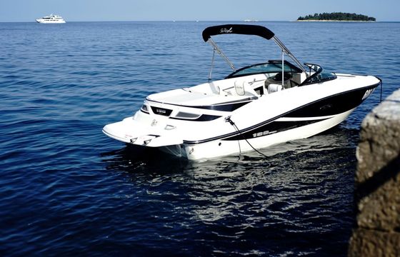 Motorboat SEA RAY 190 SPORT 220hp
