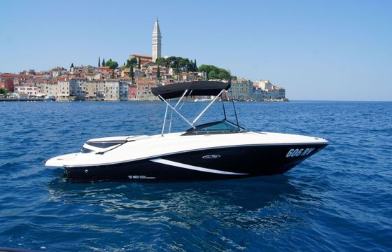 Motorboat SEA RAY 190 SPORT 220hp